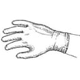thumbnail image 1 of Vinyl Gloves, 1 of 3