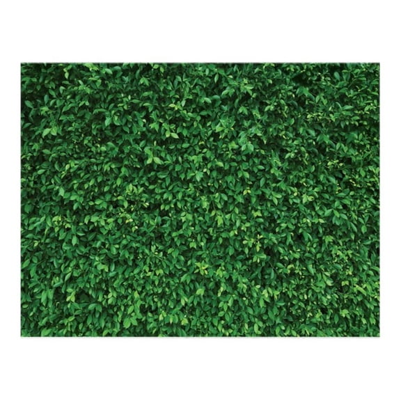 Vinyl Green Leave Photography Backdrops Birthday Background for Birthday Photo Booth Prop Decoration