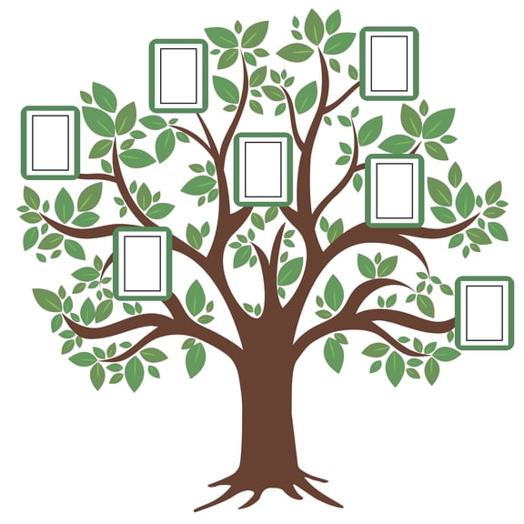 Vinyl Home Art Easy to Apply Tree With Photo Frames Decoration Multicolored Art Design Removable Wall Decal - 20" x 20" Create Your Family Tree Adhesive Décor Picture Frame Collage Wall Sticker