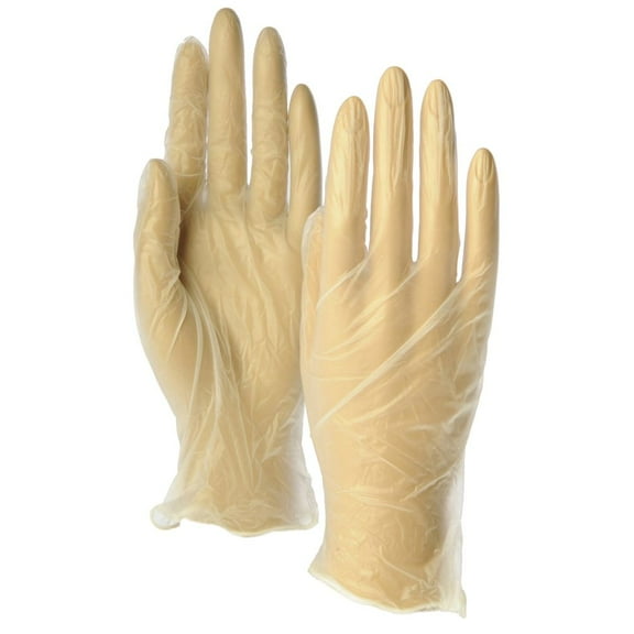Vinyl Lightly Powdered Disposable Gloves - Extra Large