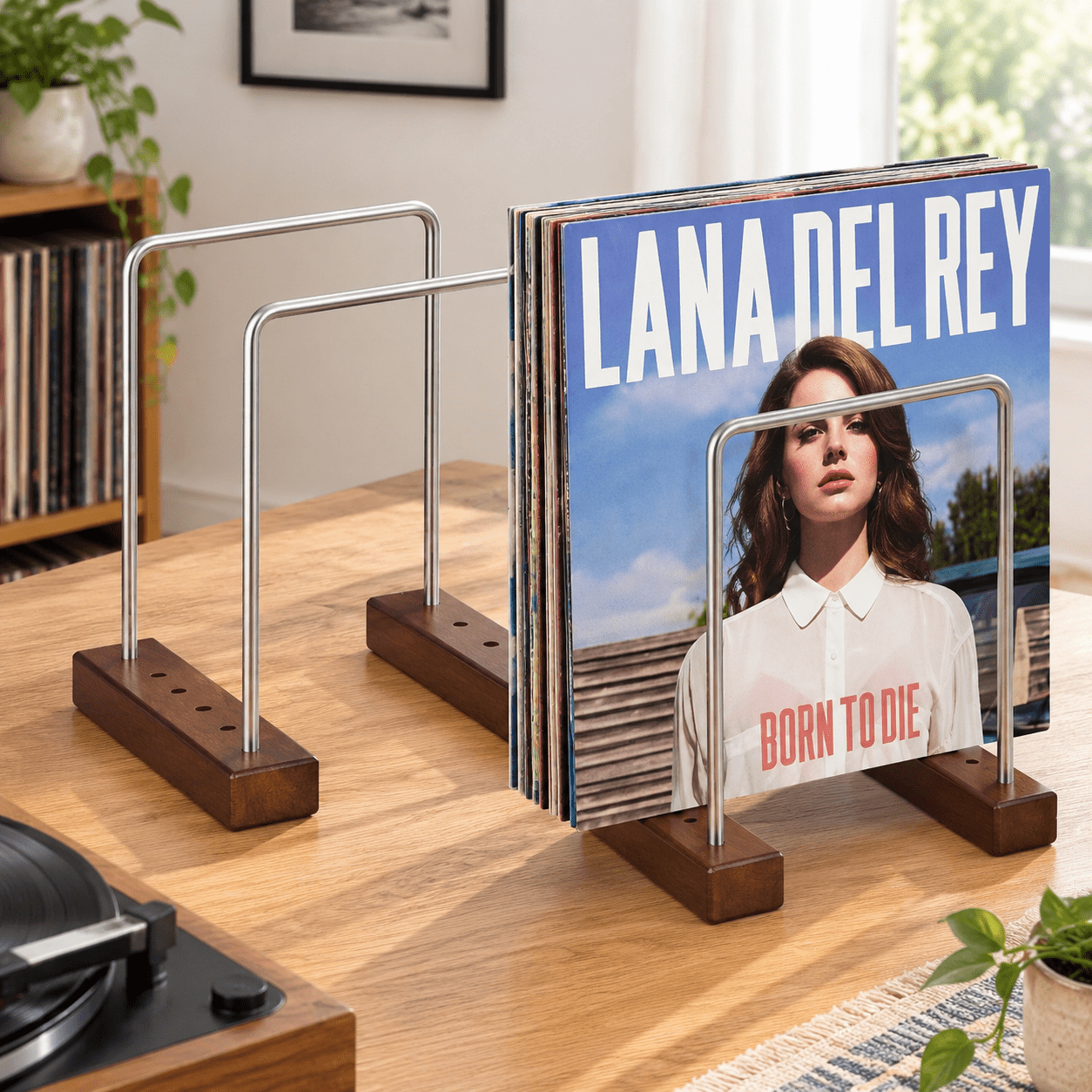 Slanted Vinyl Rack Vinyl Record Storage Rack, Reddish Brown, Fits 25-35 LPs, Solid ...