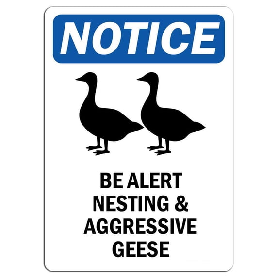 Vinyl Stickers - Notice - Be Alert Nesting and Aggressive Geese Sign with Symbol - Safety and Warning Warehouse Signs Stickers - 3.5" x 5" - 10 Pack