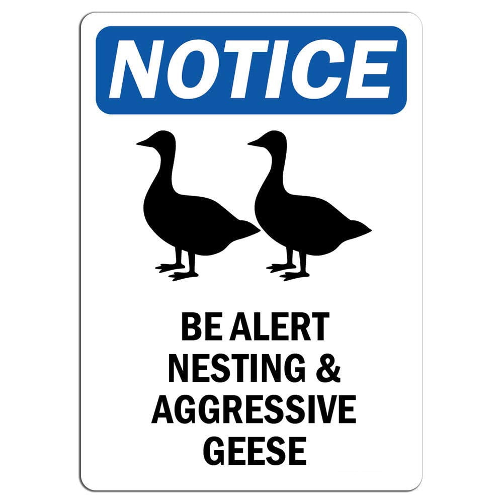 Vinyl Stickers - Notice - Be Alert Nesting and Aggressive Geese Sign ...