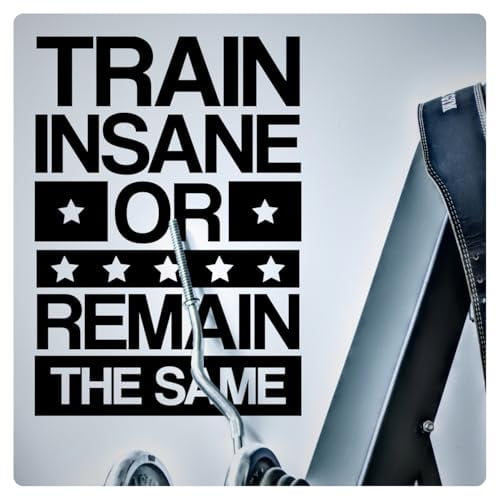 My Vinyl Story - Train Insane or Remain The Same - Large Motivational Large Gym Wall Decal Sticker Quote for Home Gym Exercise Fitness Workout Wall Art Decor Removable (Black, 27x38 inches)