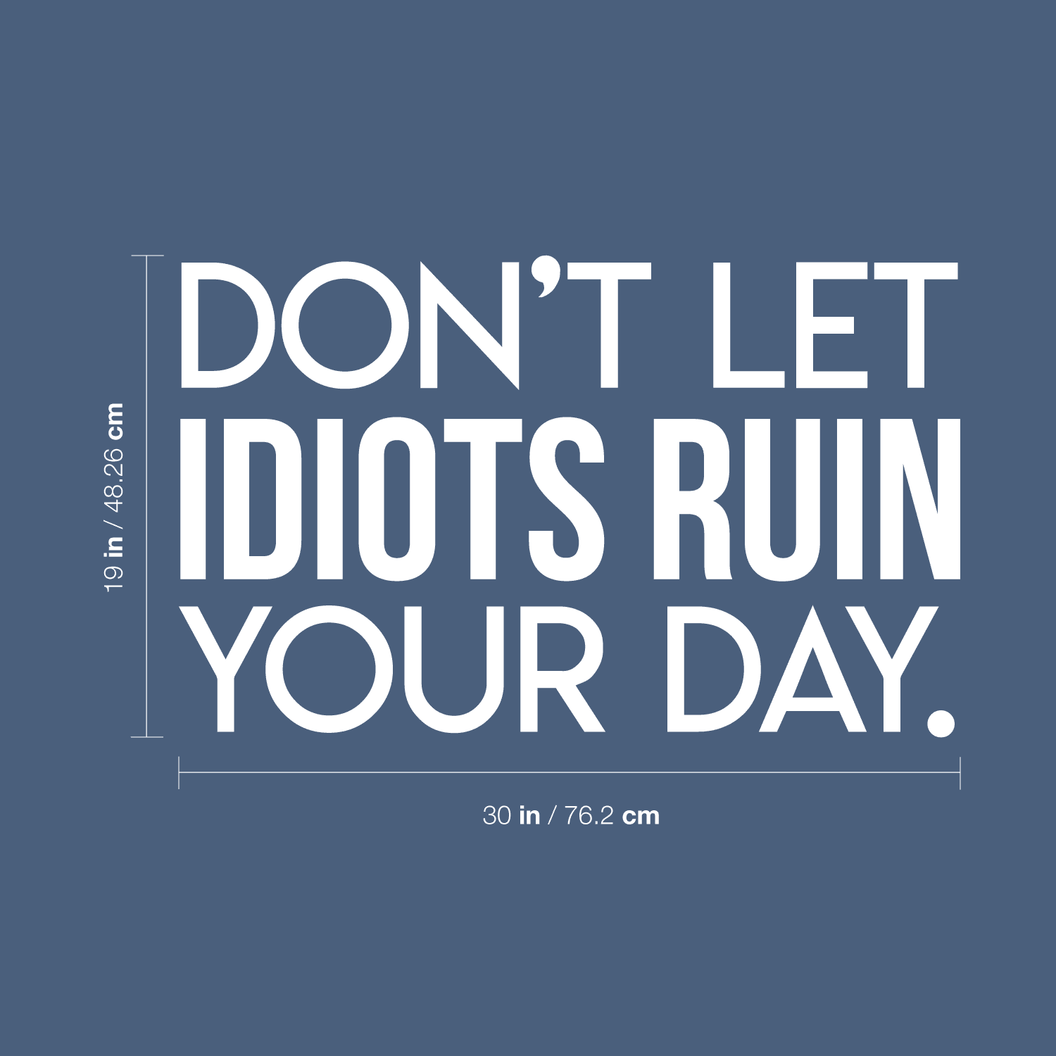 Vinyl Wall Art Decal Don't Let Idiots Ruin Your Day 19" x 30