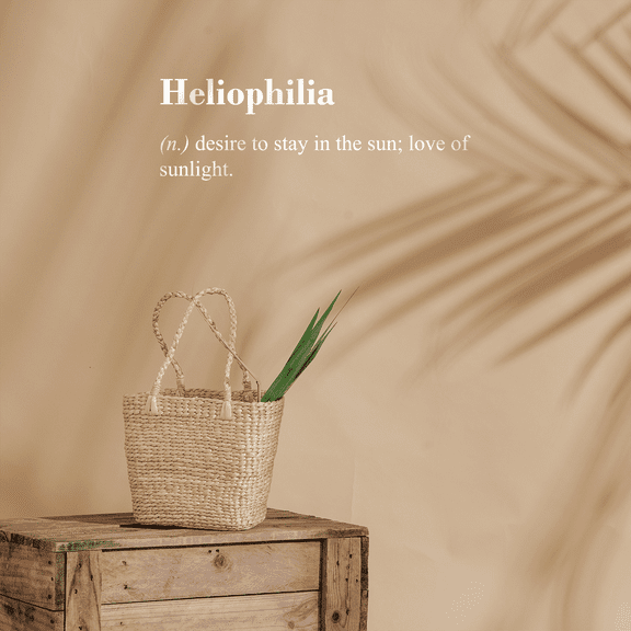 Vinyl Wall Art Decal - Heliophilia Definition - 10" x 30.5" - Modern Funny Cute Quote For Home Bedroom Living Room Entryway Apartment Dorm Room Office Decor Sticker