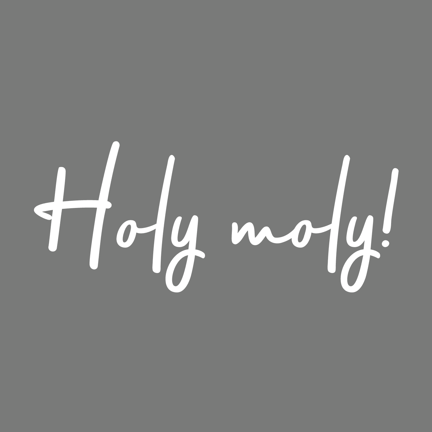 Vinyl Wall Art Decal Holy Moly 12.5" x 30" Modern Funny Surprise