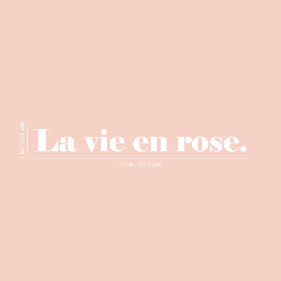 Vinyl Wall Art Decal - La Vie En Rose - 2" x 20" - Trendy Inspirational French Song Quote For Women Home Bedroom Girls Room Living Room Office Decoration Sticker