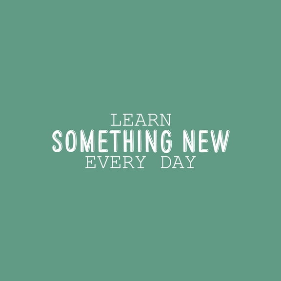 Vinyl Wall Art Decal - Learn Something New Every Day - 9" x 30" - Modern Fun Positive Classroom Quote Sticker For Home Living Room Playroom School Library Educational Decor