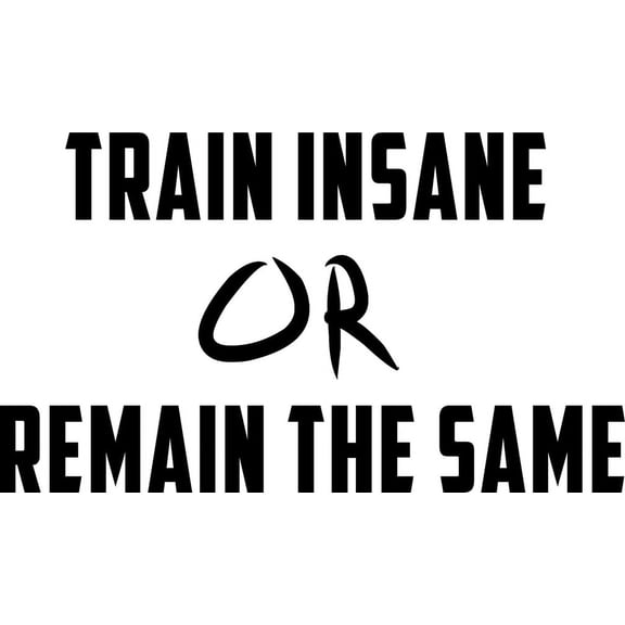 Vinyl Wall Art Decal - Train Insane Or Remain The Same - 23" x 40" - Insprational Gym Quote Sticker Decals Fitness Athletics Sticker Adhesive Signs