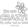 thumbnail image 1 of Vinyl Wall Decal: Sheldon Big Bang Theory Quote | Vinyl Wall Decal | Funny Sticker for Bedroom Geek 20"x18" [BBT2], 1 of 4