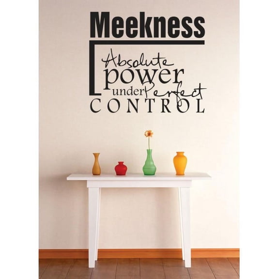 Vinyl Wall Decal Sticker : Meekness Absolute Power Under Perfect Control Inspirational Quote Picture Art Peel & Stick Mural 12x12 Inches