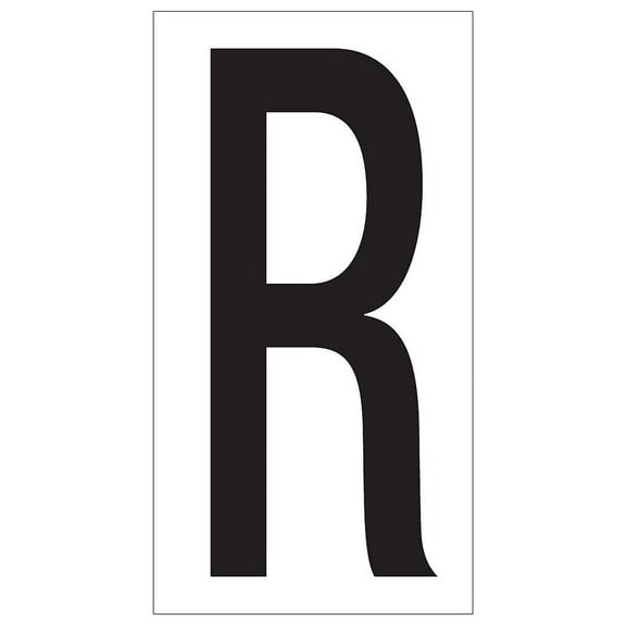 Vinyl Warehouse Letter Labels, "R", 3 1/2", Bk/Wt, 50/CA (DL9310R)
