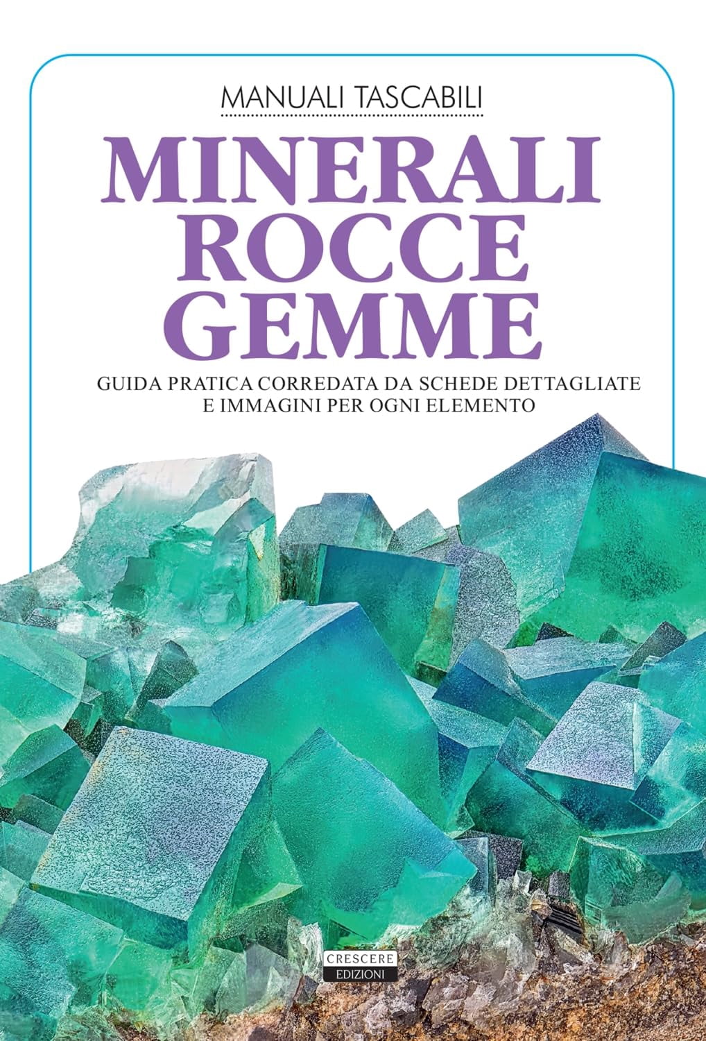 Viola Autieri Minerali, rocce, gemme. Guida pratica corredata da schede dettagliate (Paperback)