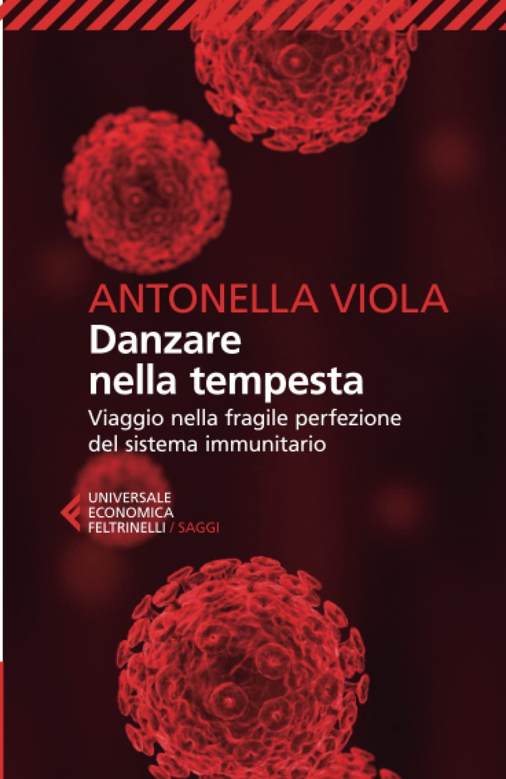 Viola Danzare nella tempesta (Paperback)