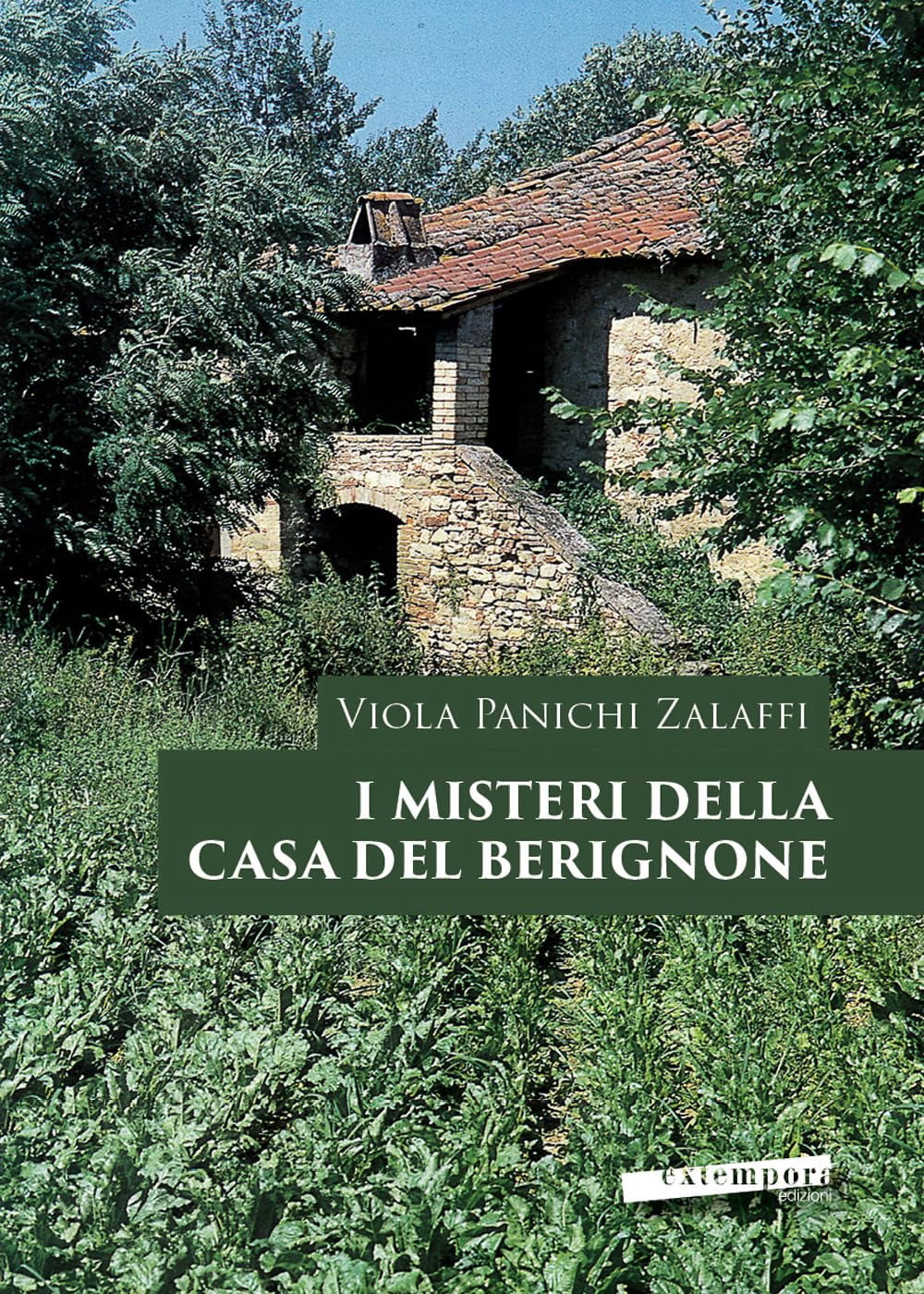 Viola Panichi Zalaffi I misteri della casa del Berignone (Paperback)