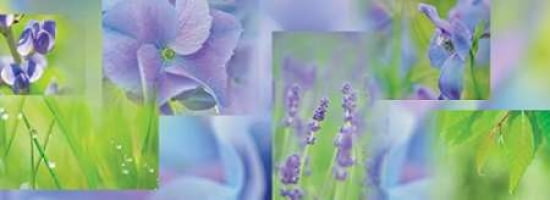 Violet Blue Green Collage Canvas Art - Cora Niele (24 x 48)