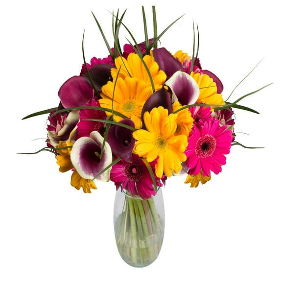 Violet Divinity Bouquet 32 stems of Multicolor Farm Direct Fresh Cut Flowers by Bloomingmore