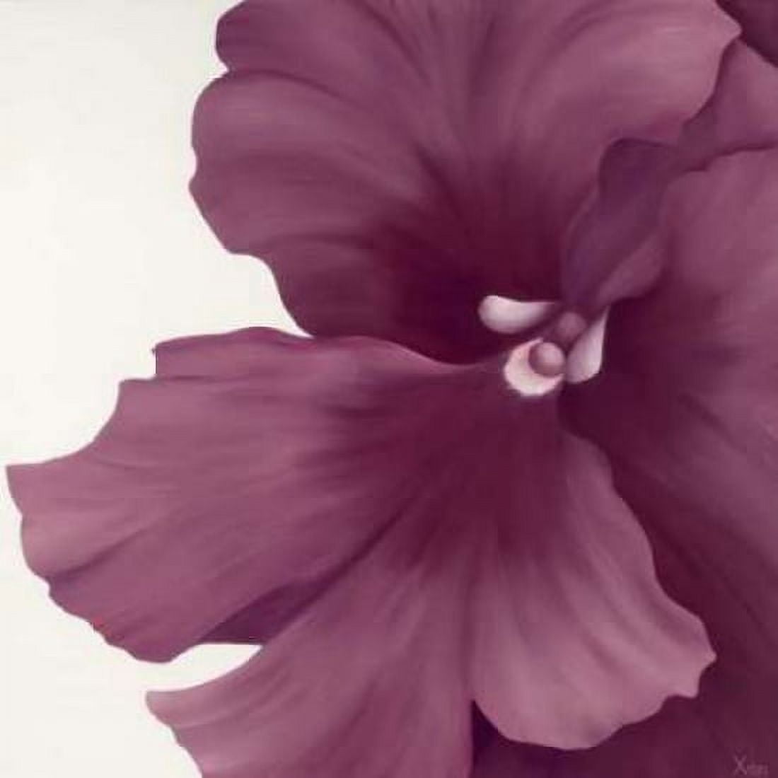 Violet Flower I Canvas Art - Yvonne Poelstra-Holzhaus (24 x 24)
