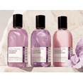 thumbnail image 1 of Violet Gold Collection: Shampoo + Conditioner + Body Wash, 1 of 9