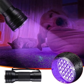 Violet LED Flashlight for Pet Stain Detection, QQZ 21 LED Powerful UV Light Flashlight with Aluminum Alloy Body, Portable Blacklight for Scorpion Spotting ID Verification Resin Curing