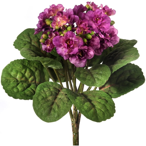 Violet Plant 12" - Purple