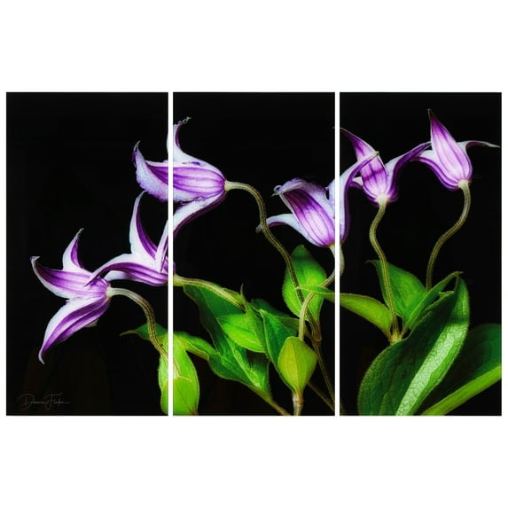 "Violete Belle" Oversized 72"x 36" Frameless Free-Floating Reverse Printed Tempered Art Glass Panels Set