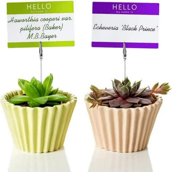 Violete Stainless Steel Electrical Clamp | Non-Insulated Metal Cable Lead Screw Clamp | Secure Grip, 10 Pack