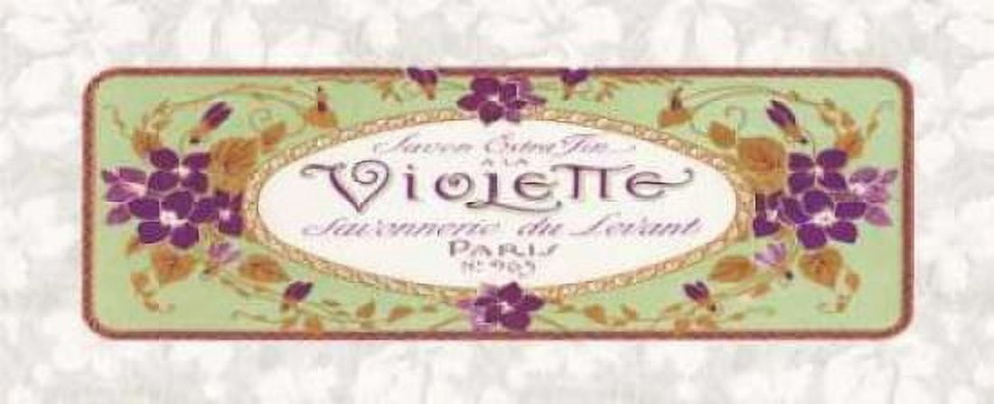 Violette Canvas Art - Susan Berman (10 x 20)