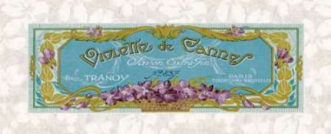 Violette de Cannes Canvas Art - Susan Berman (10 x 20)