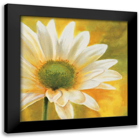 Viollet, Pierre 15x15 Black Modern Framed Museum Art Print Titled - Marguerites dans le soleil 3