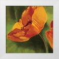 thumbnail image 1 of Viollet, Pierre 20x20 White Modern Wood Framed Museum Art Print Titled - Coquelicots dans le soleil I, 1 of 4