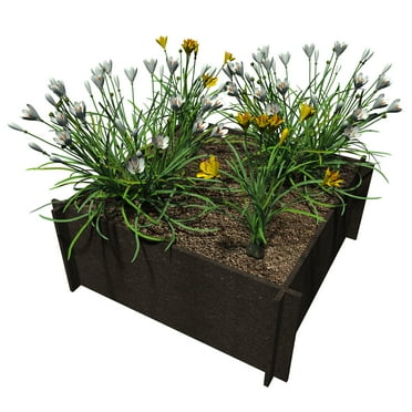 Raised Garden Beds
