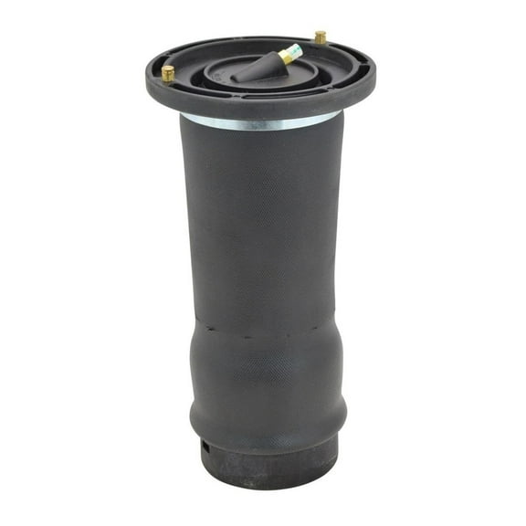 VioziteGam Suspension Shock Absorber Strut and Spring Rear Left Driver Right Passenger Side with Bag for Land Rover for Discovery 1999-2004