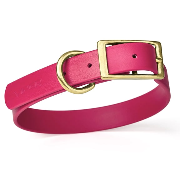 Size XS (9 to 12 inches)-Viper Biothane Waterproof Collar - Brass Hardware