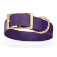 thumbnail image 1 of W 1.5" L 16-28 inch  Viper Biothane Waterproof Collar - Brass Hardware, 1 of 38