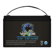 Viper VP-2400 12V 2400 Watt Car Audio Battery for POWER ACOUSTIK GT1