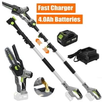 4-in-1 Cordless Pole Saw & Electric Pruning Shears, 8 inch Mini ...