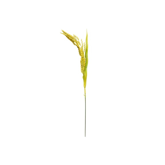 Virelaxpo Artificial Rice Stalks Bundle Faux Paddy Grain Stems Dried Look Decorative Grasses for Vase Home Fall Decor Wedding Table