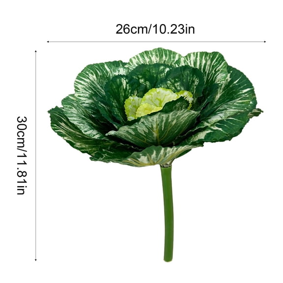 Virelaxpo Lifelike Artificial Cabbage Faux Vegetable Head for Home Decor Kitchen Table Centerpiece Wedding Botanical Prop Display Arrangement Yearround Decorative