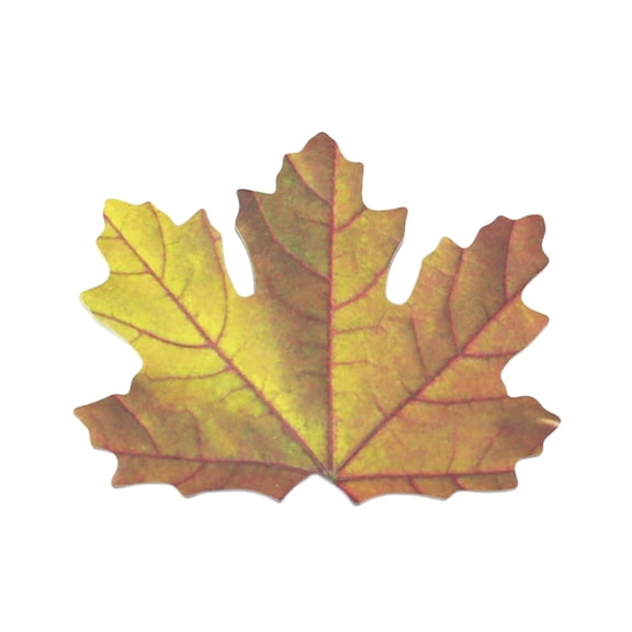 Virelaxpo Maple Leaf Shaped Sticky Notes 25 Sheets Memo Pads for Office Desk Organization Reminders