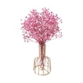 thumbnail image 1 of Virelaxpo Pink Dried Pampas Grass Bouquet with Vase Flower Decoration for Home Table Wedding and Bohemian Decor Soft and Elegant for Indoor Use, 1 of 6