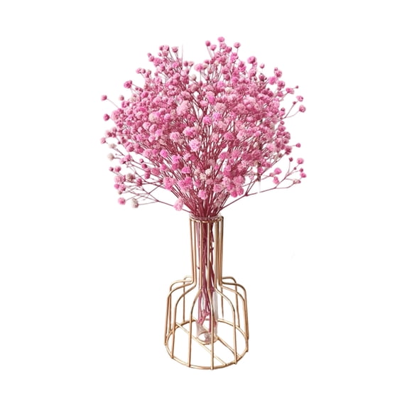 Virelaxpo Pink Dried Pampas Grass Bouquet with Vase Flower Decoration for Home Table Wedding and Bohemian Decor Soft and Elegant for Indoor Use