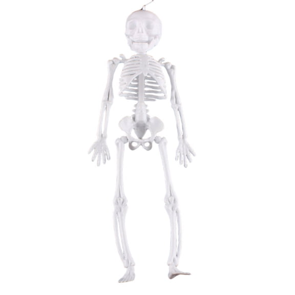 Virelaxpo Posable Joint Skeleton Prop for Halloween Porch Patio Party Venue Decor, 11.4 x 4.4 Inch