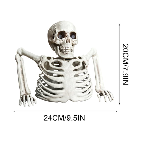 Virelaxpo White Plastic Half Skeleton Tabletop Decoration for Halloween - Realistic Prop for Indoor and Outdoor Festive Displays