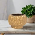 thumbnail image 1 of Bella Stoneware Gold Pot, 1 of 10