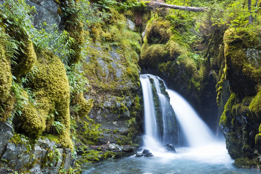 Virgin Creek Falls Girdwood Alaska United States of America Canvas Art - Michael DeYoung Design Pics (38 x 24)