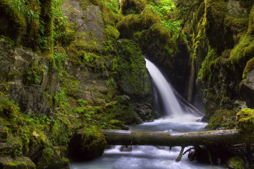 Virgin Creek Falls Near Girdwood Alaska Hdr Image Canvas Art - Michael Criss Design Pics (17 x 11)