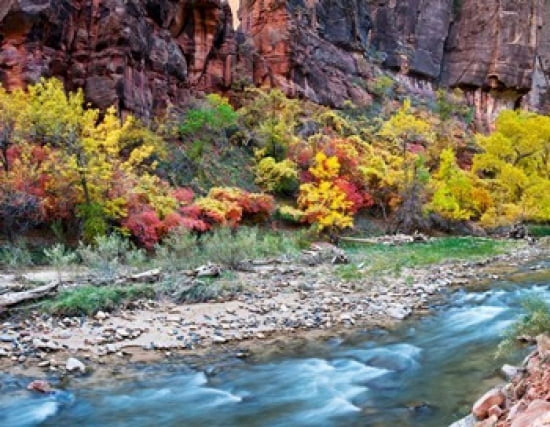 Virgin River and rock face at Big Bend Zion National Park Springdale Utah USA Canvas Art - Panoramic Images (36 x 28)