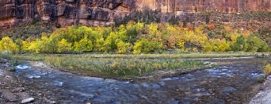 Virgin River at Big Bend Zion National Park Springdale Utah USA Canvas Art - Panoramic Images (30 x 12)